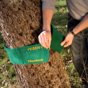 Gibbon Slacklines - Tree Wear - Image 2