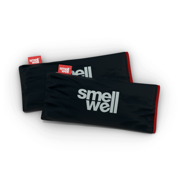 SmellWell Black Stone | SmellWell Freshner | in Dubai UAE