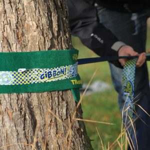 Gibbon Slacklines - FunLine - Image 6