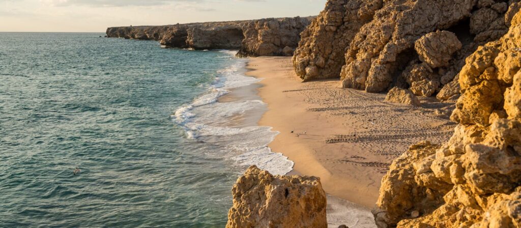 Coastal beauty and endangered turtles nesting at Ras al Jinz, a unique hiking and wildlife experience in Oman.