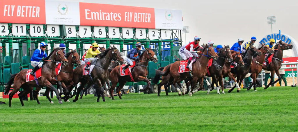 Action-packed race at the Dubai Racing Carnival 2024 at Meydan Racecourse