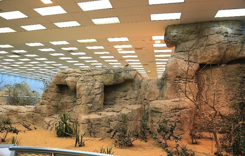 Arabian Wildlife Center showcasing native animals, ideal for Sharjah kids activities and family-friendly attractions.