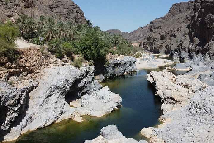 Vibrant greenery and refreshing water streams in Wadi Lajab, an eco-friendly and beginner-friendly spot for hiking in Saudi Arabia.