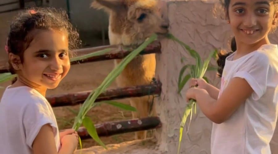 Children’s Farm with kids feeding animals and enjoying pony rides, offering educational activities for kids in Sharjah.