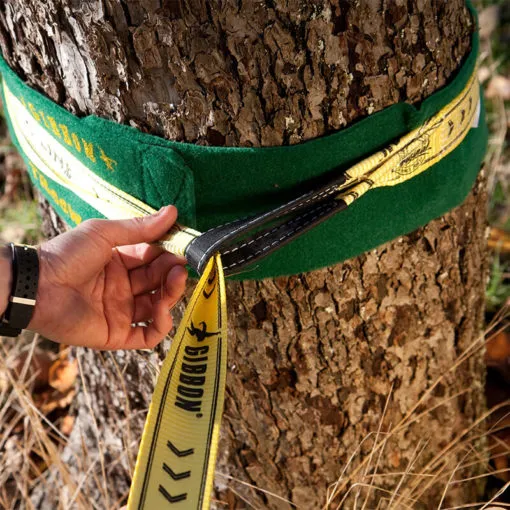 Beginner setting up a slackline between two trees in a park using Treewear for tree protection.